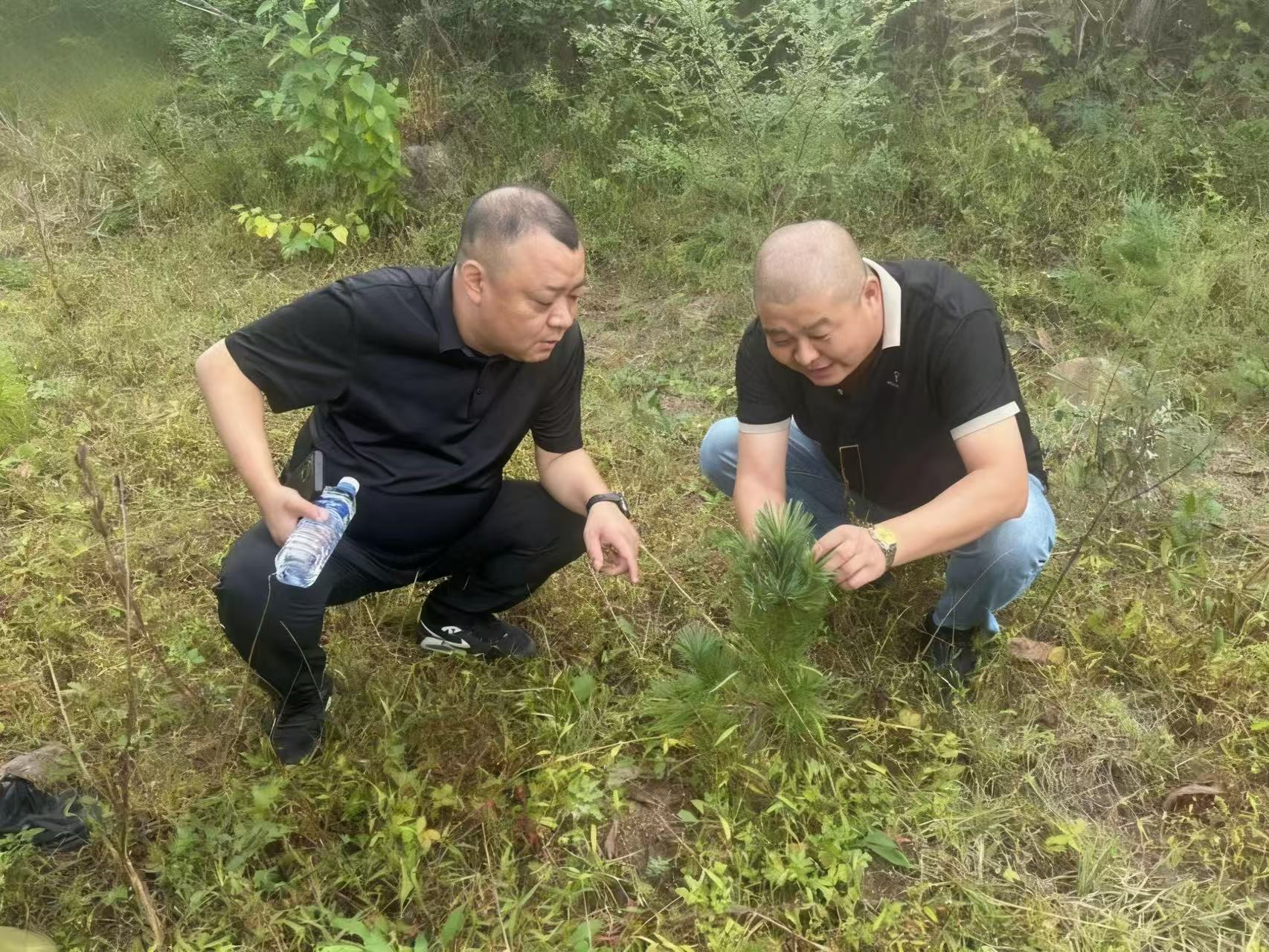 银河娱乐场门户网站